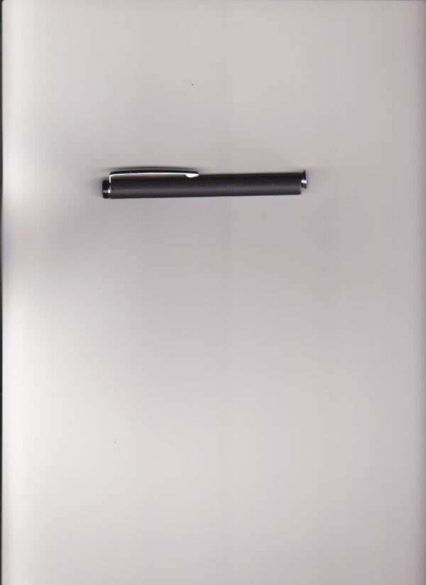 地磁棒[尋龍棒]