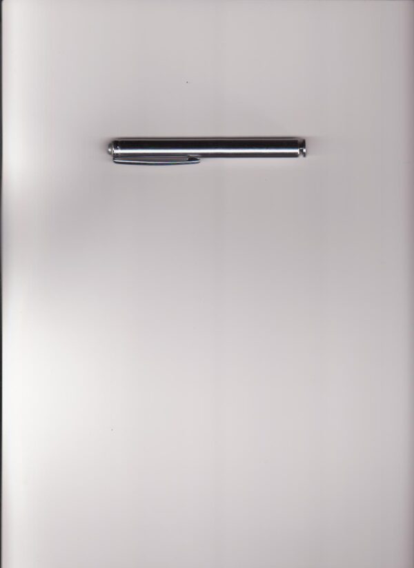 地磁棒[尋龍棒]